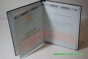 Купить диплом Колледжа архитектуры и строительства № 7 в Курске